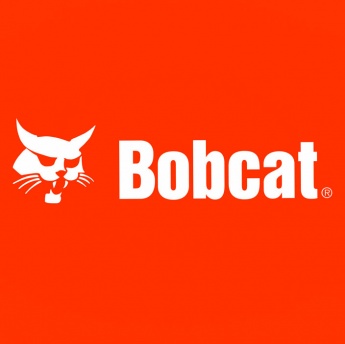 Bobcat
